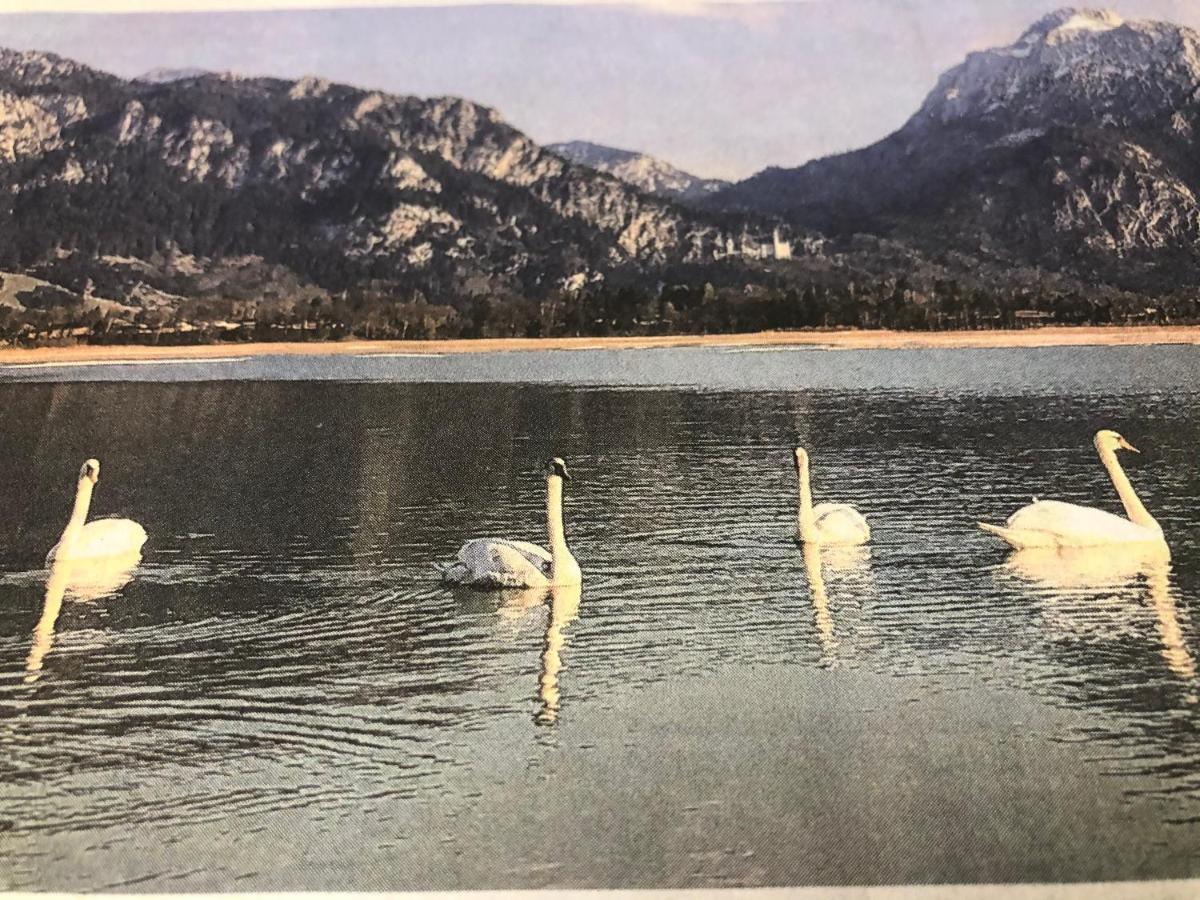 Haus Bei Der Linden Ferienwohnungen Schwangau Luaran gambar